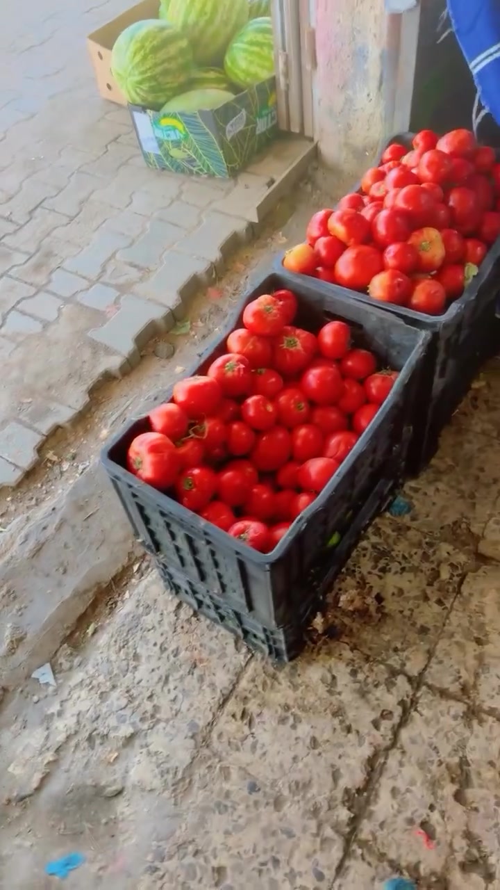 ‏الموقع محاويل ناحية الإمام علوه ناحية الإمام يوم الثلاثاء


**إذا كنت صاحب هذا الإعلان وتريد حذفه لأي سبب، رجاءا أرسل رسالة إلى الدعم الفني**