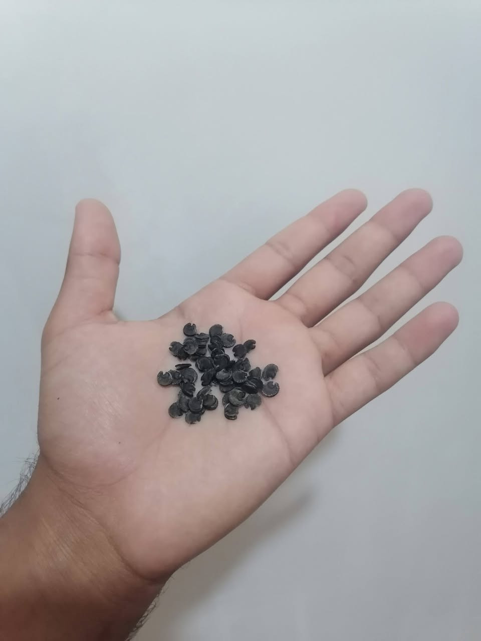 السلام عليكم
متوفر بذور الختمة اللون الأبيض تجميع اليوم
عدد البذور 60
سعر المغلف 1000 دينار والتوصيل 2000
يوصلك لباب البيت ب 3000
❗فقط لأهالي الكوت والمناطق القريبة عليها


**إذا كنت صاحب هذا الإعلان وتريد حذفه لأي سبب، رجاءا أرسل رسالة إلى الدعم الفني**