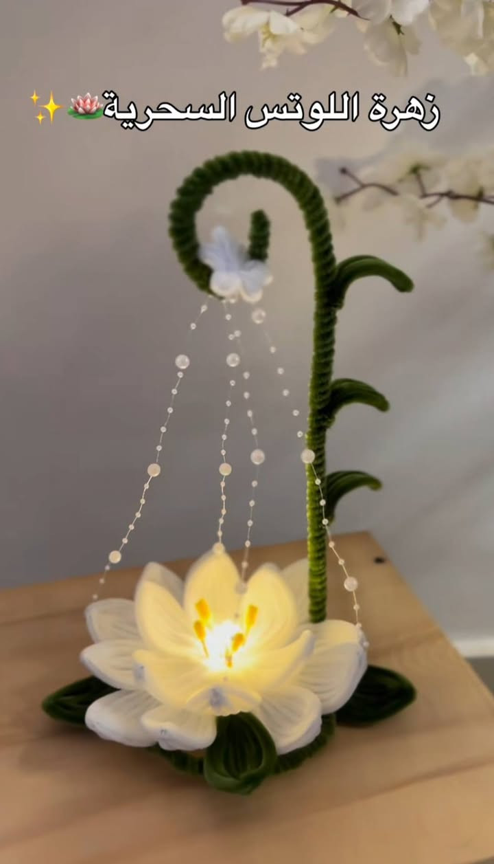 : "بتلات مخملية.. هديتك التي لا تذبل"
hand made 😍🌸صنعت بكل حب
للطلب دايركت #يوجدتوصيل
​لأنهم يستحقون الأجمل.. نهديكم ضياءً ومخمل.
​بتلات مخملية.. نصنع من الضياء ذكرى.
​هدايا تُصاغ بالحب.. وتُضاء بالشعور.
🌸🌸🌸🌸🌸🌸🌸
رأيكم يهمني بنات لايك ومتابعه 😘😘🫶


**إذا كنت صاحب هذا الإعلان وتريد حذفه لأي سبب، رجاءا أرسل رسالة إلى الدعم الفني**