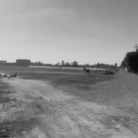 كركوك • ٨ دونم • مزرعة دواجن