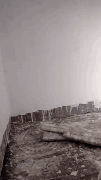 البيت البيع الناصرية منطقة سيدخضير بناء حديث بناء طابوق مساحة 200 تصال على رقم الهاتف ***********
