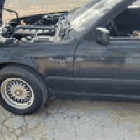 ١٩٩١ • رقم انكليزي ٢٠٣٠ • بدون صبغ