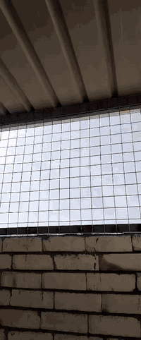 النجف الاشرف • خدمات • اسعار مناسبة