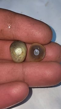 ملاقط • ثنينهن