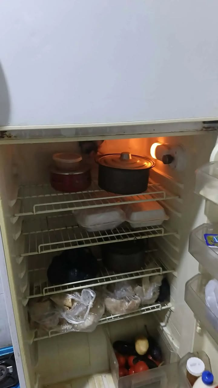 حجم كبير 120


**إذا كنت صاحب هذا الإعلان وتريد حذفه لأي سبب، رجاءا أرسل رسالة إلى الدعم الفني**