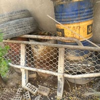 درع للبيع ‭0771 066 2994‬