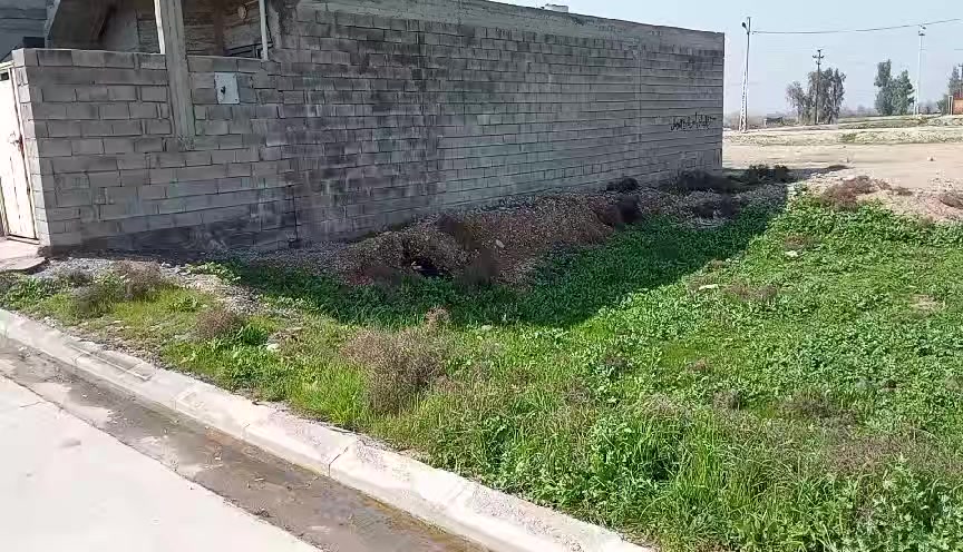 للبيع ارض سكنية زيونة الرابعة مقابل مشروع ماء الساهرون مساحة الأرض 100متر واجهة 5 نزال نزال20 موقع مميز مقابل الأرض تصلح حديقة سعر 30 وبيها مجال للاستفسار اتصل على الرقم ***********
