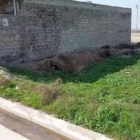 زيونة الرابعة • 100م • واجهة 5م