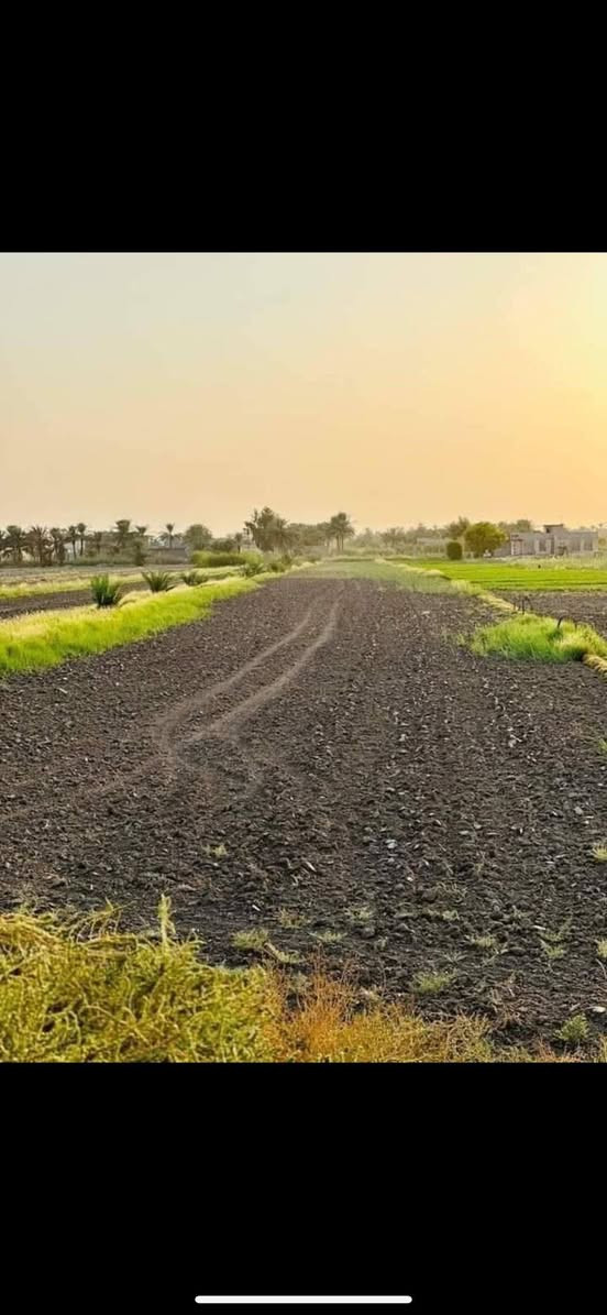السلام عليكم اخواني الأعزاء
للبيع 25دونم طابو سند 25
خدمات الأرض ماء سقي كهرباء أسألة كاع كلش حلوه 
استثمارية غريبة على خط التنمية الجديد 

بيها خارطة كاملة مرقمه الدوانم 

سعر الدونم 9مليون قابل للتفاوض 

موقع الأرض التاجي ذراع دجلة منطقة العيساوية 
بدايه العيساوية 

للإستفسار ***********
***********
***********
