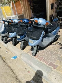 منغوليات • بطات • بوليس
