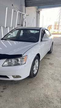 سوناتا ٢٠٠٩ • قطعتين صبغ • رقم اربيل