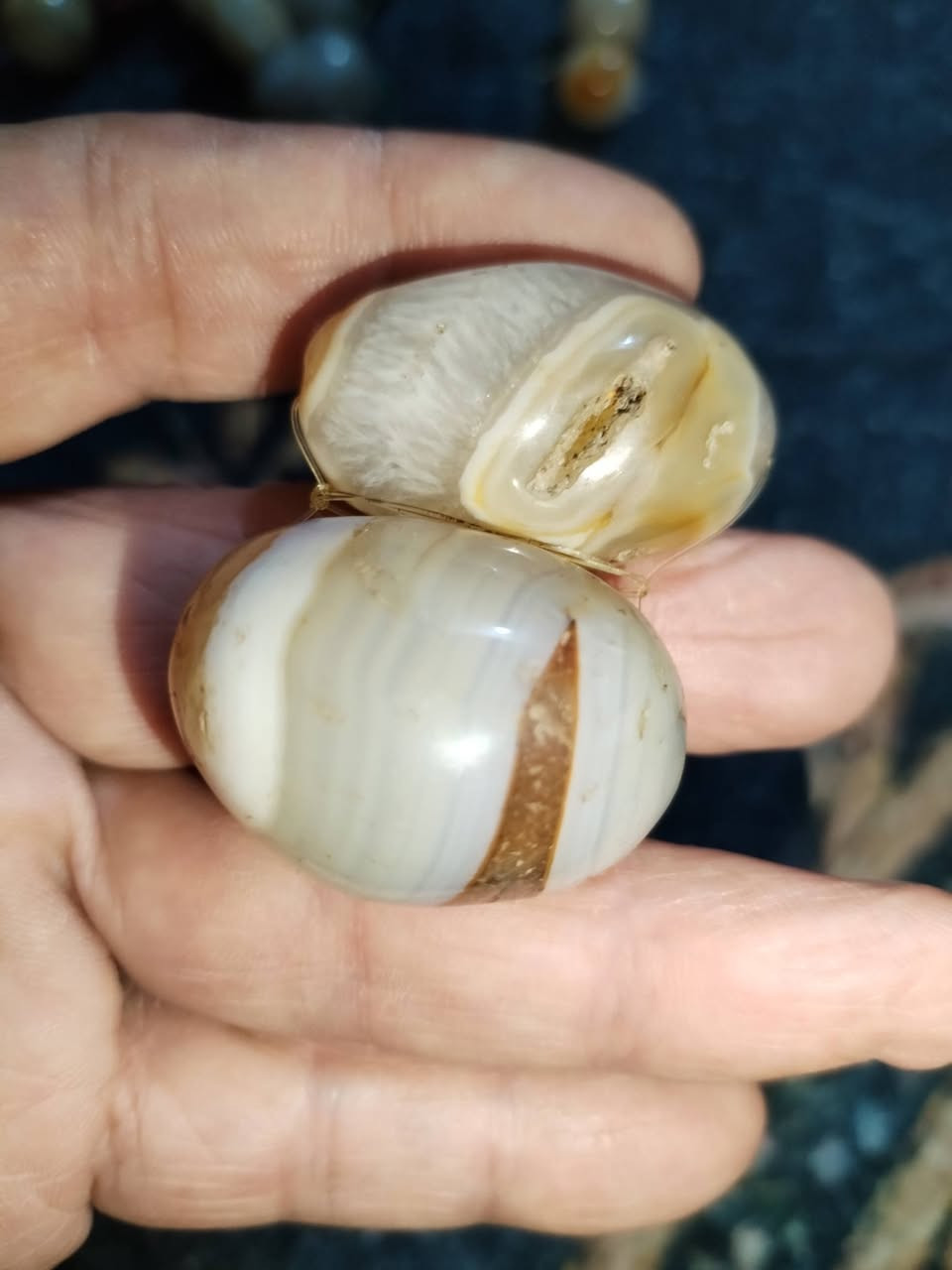 زوج سليمانيات دهن ودبس محبة عامة عكد لسان خضوع طاعة عمياء معلومات اكثر خاص او واتساب ***********
