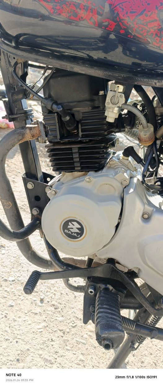 يا الله
السلام عليكم بوكسر جبلي موديل 2023 نازله بل2024 رقم بغداد انكليزي هزه جديدة تحويل مباشر ثاني يوم بسمك دراجه كفاله عامه ما مبدل بيه برغي ماشيه 13 الف 

مكاني بغداد الغزالية هاذه رقمي ***********
