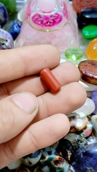 مرجان تونسي • طبيعي • نادر