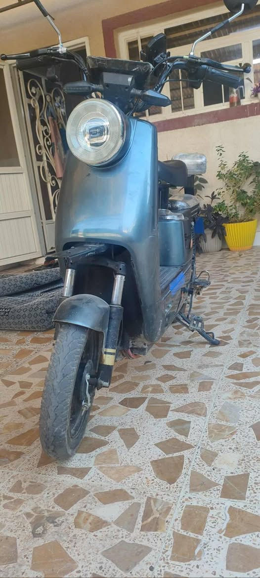 باسكيل شحن سعر 150


**إذا كنت صاحب هذا الإعلان وتريد حذفه لأي سبب، رجاءا أرسل رسالة إلى الدعم الفني**