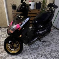 يوماها سكنس فحل كوري كابريتر  كفاله كفاله كفاله  سكنس فحل للبيع كابريت...