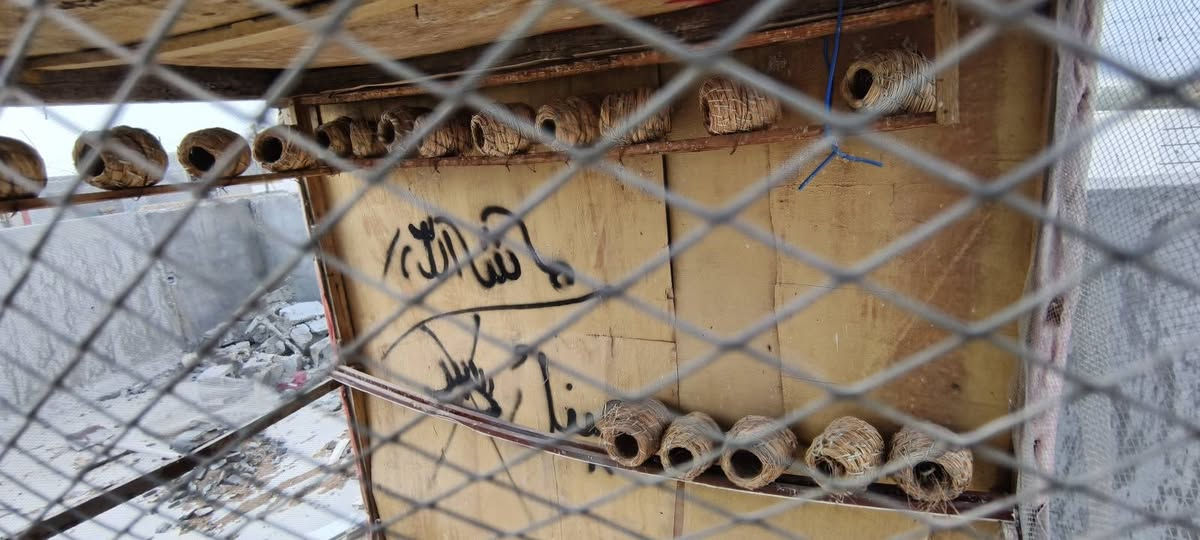 سعر الكل 100 وبي مجال
مكان كرمة / شارع 20


**إذا كنت صاحب هذا الإعلان وتريد حذفه لأي سبب، رجاءا أرسل رسالة إلى الدعم الفني**