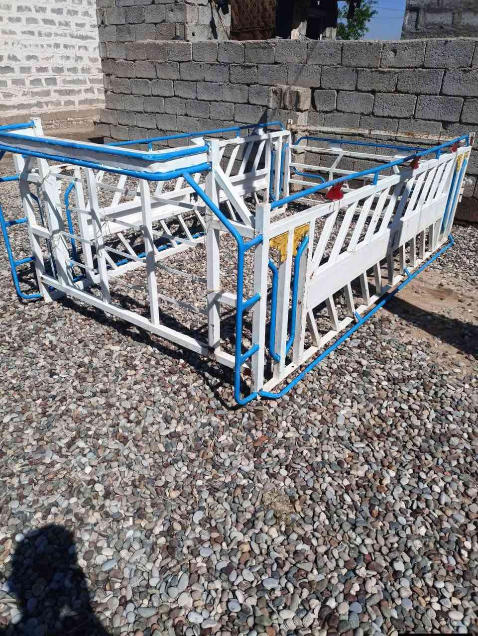 محجل للبيع الاستفسار تصال علئ رقم
***********
***********
