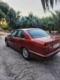 ١٩٩٣ • ضرر خلفي ومصبوغ • سنوية مجددة ٢٠٢٨