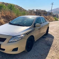 بيكاجو • توماتيك • مضروبة