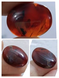 خام يماني • الانسي الأحمر • غير معالج