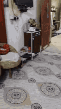 مشتمل للبيع بعقوبة كاطون الرازي شارع المدارس قرب مدرسة الشام المساحه 130 متر شارع عريض  بناء اخو الجديد قاط واحد وغرفه فوك وبيتونه السعر كلش حلو 🌹🌹 *********** او ***********@
