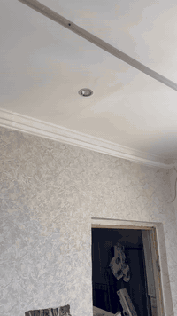 جمل جدار • مودرن • البصرة