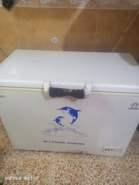 مجمدة • اوكما دولفين • بدون توصيل