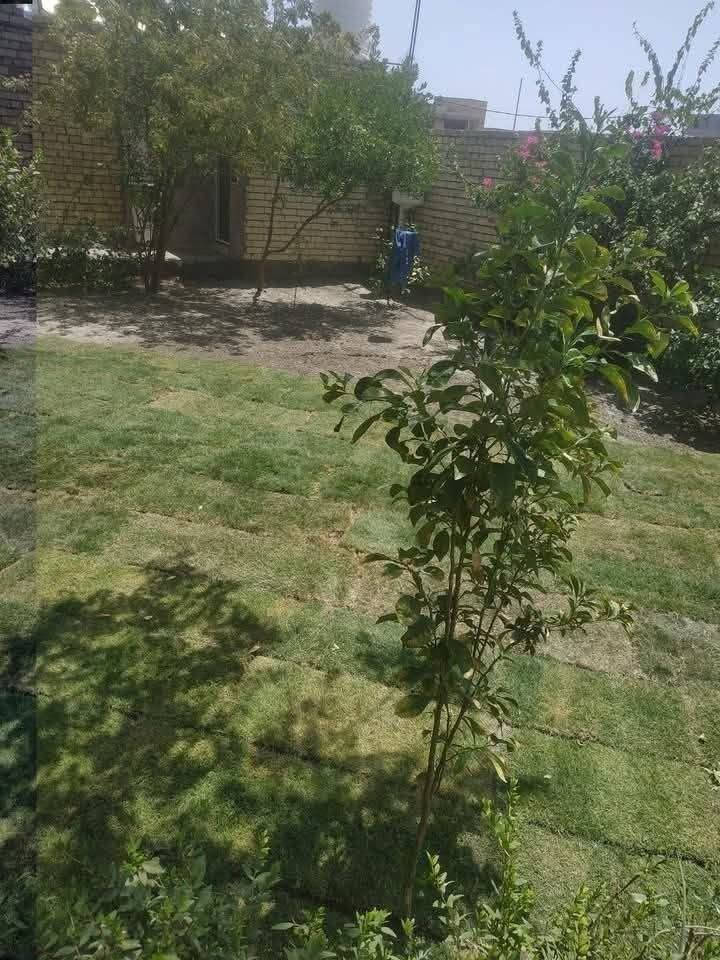سلام عليكم اي واحد عنده حديقه تنضيف تقليم زرع شتل ثيل هندي الأصلي خاص مفتوح تواصل *********** واتساب
