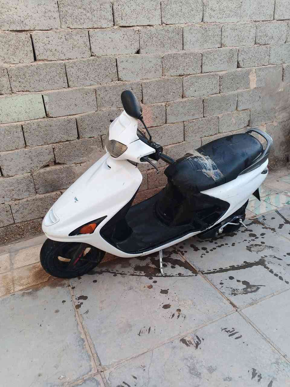 فراشه فحل للبيع ***********
