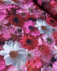 فرشه نفرين • كفر لاستيك • توصيل المحافظات