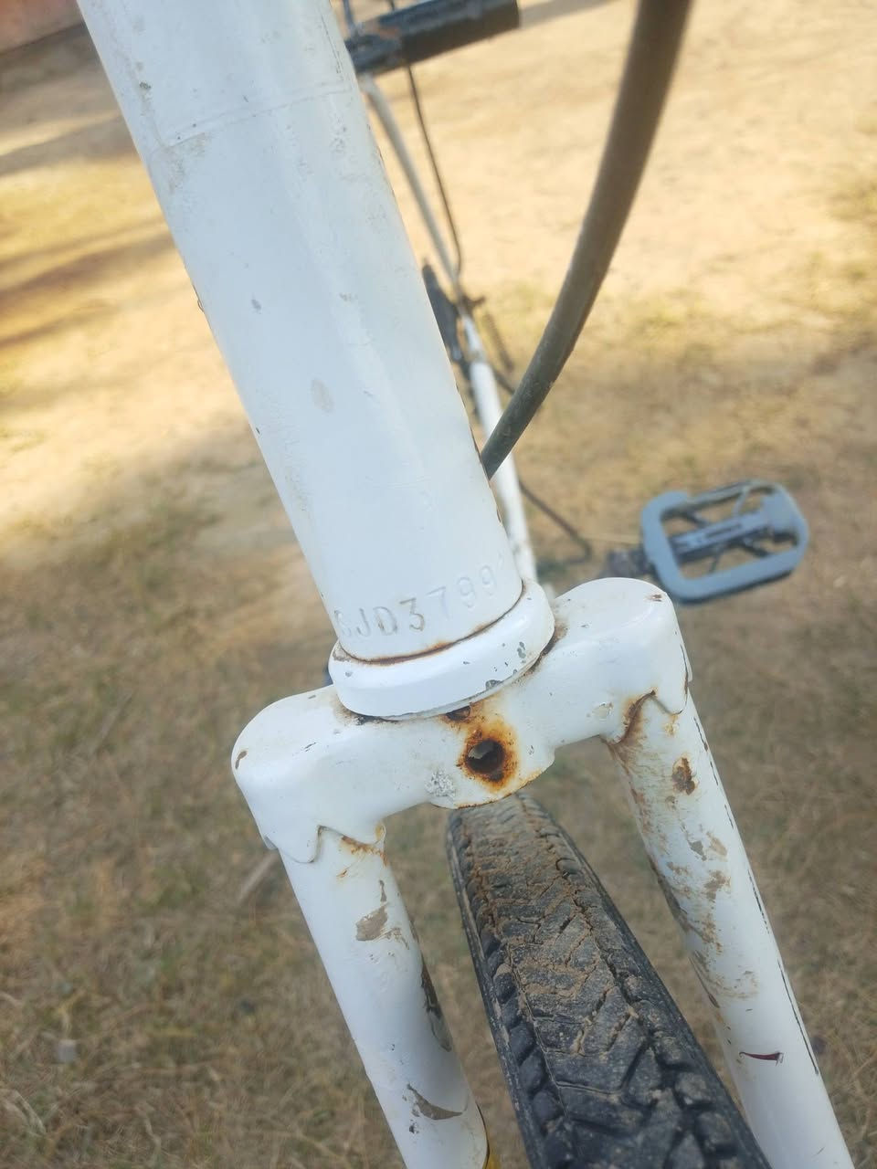 باسكل للبيع فول موصفات حجم 27 السعر 80 بي مجال مكان دوانيه دغاره


**إذا كنت صاحب هذا الإعلان وتريد حذفه لأي سبب، رجاءا أرسل رسالة إلى الدعم الفني**