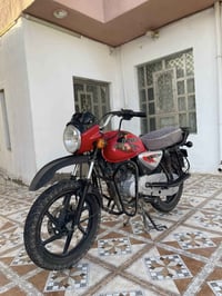 بوكسر جبلي • موديل٢١ • اوراق