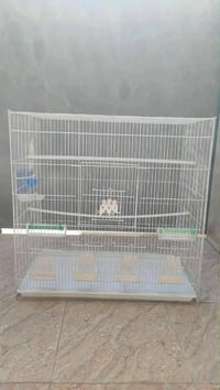 قفص كبير • قفص صغير • ايسر حي سومر