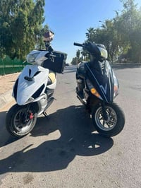 ماكسات للبيع مستعجل عليهن ثنينهن حلوات ومرتبات الله  شاهد ثنينهن خرسات...