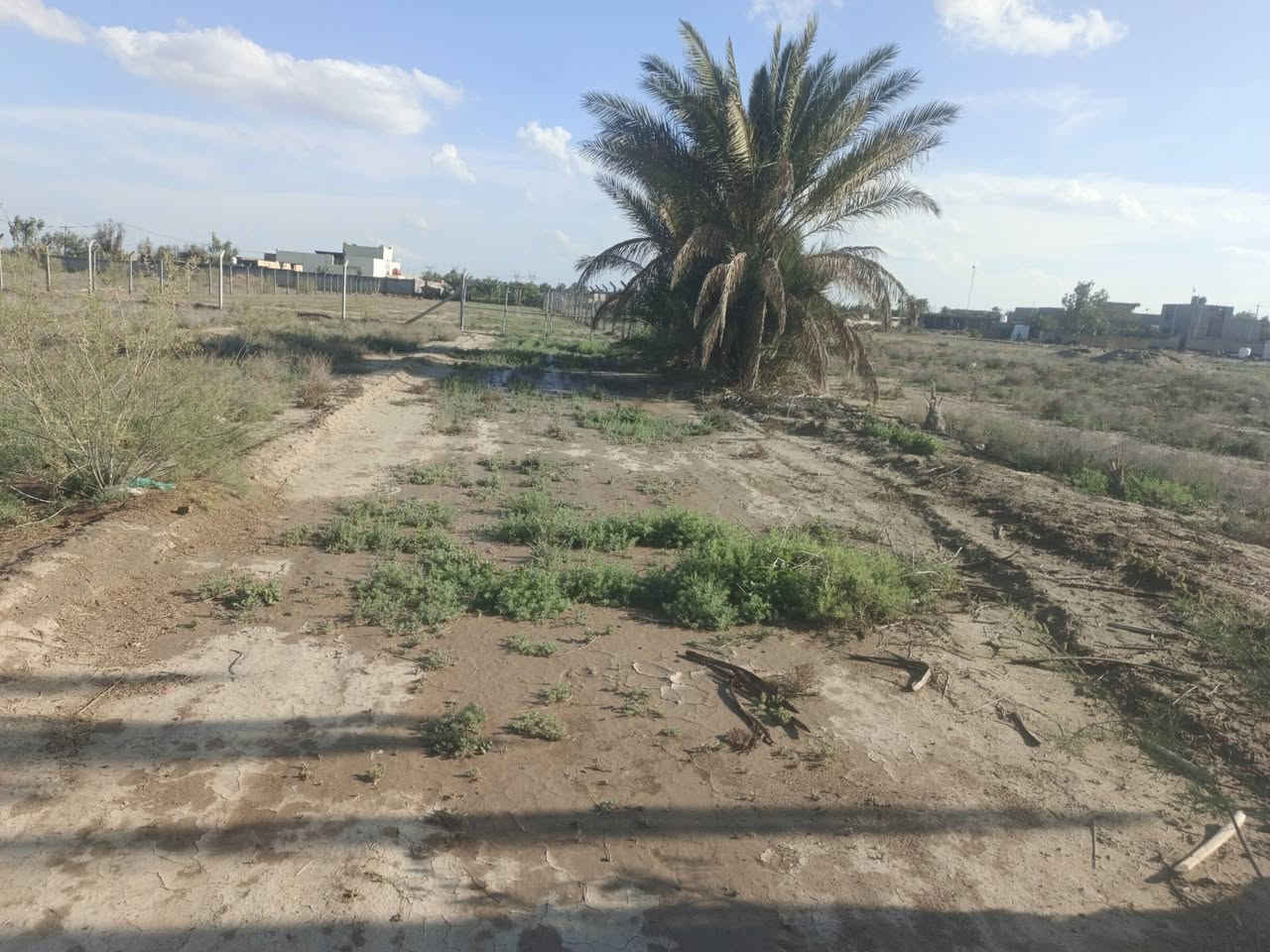 ارض للبيع 

مساحه ١٥٠٠ متر تبعد عن تبليط ٢٠٠ 
بيع مستعجل رقم الهاتف *********** واتساب ***********
كهرباء و مي ساله موجود و ارض سكنيه 
مكان حله خلف جامعة بابل منطقة ابراهيم الخليل
