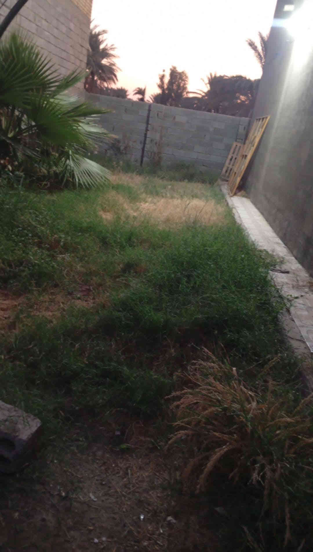 دار 🏠 للبيع 
المساحه 400م 
يتكون من غرفتين وصاله واستقبال ومطبخ ومجمع داخلي وخارجي 
البيت بناء حديث 2025
الموقع طريق ربيانه قرب حسينيه حجي شاكر 
ثاني بيت عن التبليط للاستفسار اكثر مراسله الصفحه او الاتصال على الرقم ***********
