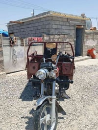 ستوته • موديل ١٩
