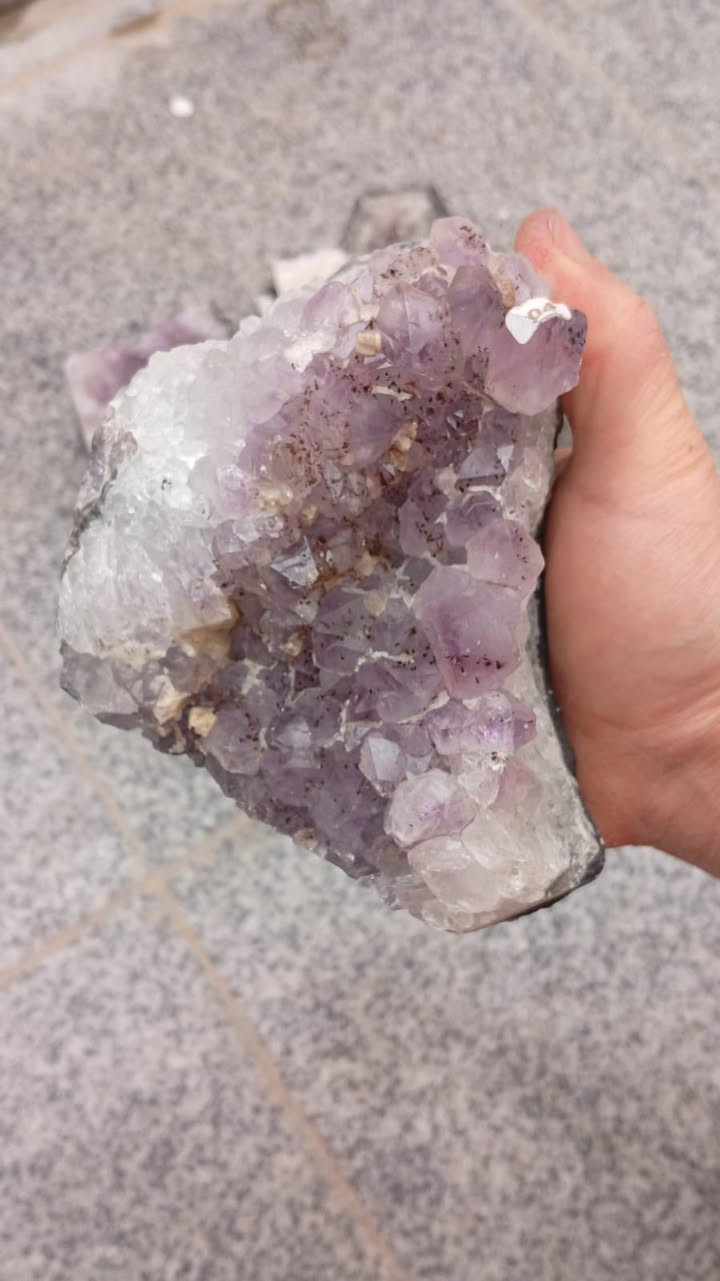 شلع


**إذا كنت صاحب هذا الإعلان وتريد حذفه لأي سبب، رجاءا أرسل رسالة إلى الدعم الفني**