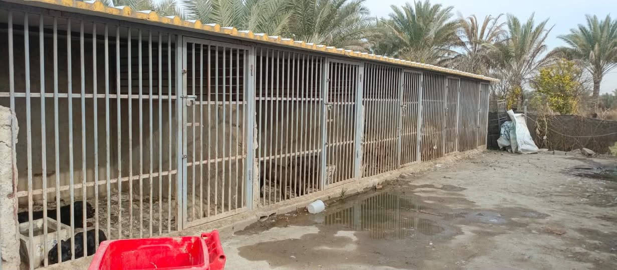 650 متر ركن للبيع طابو زراعي سند 25 تتوفر فيها جميع الخدمات ماء اساله وماء سقي وكهرباء ومسيج بالكامل شارع رئيسي 12 متر السعر 55 مليون وقابل للتفاوض العنوان بغداد الراشديه تبعد عن بوابة بغداد الحسينيه 7 دقائق


**إذا كنت صاحب هذا الإعلان وتريد حذفه لأي سبب، رجاءا أرسل رسالة إلى الدعم الفني**