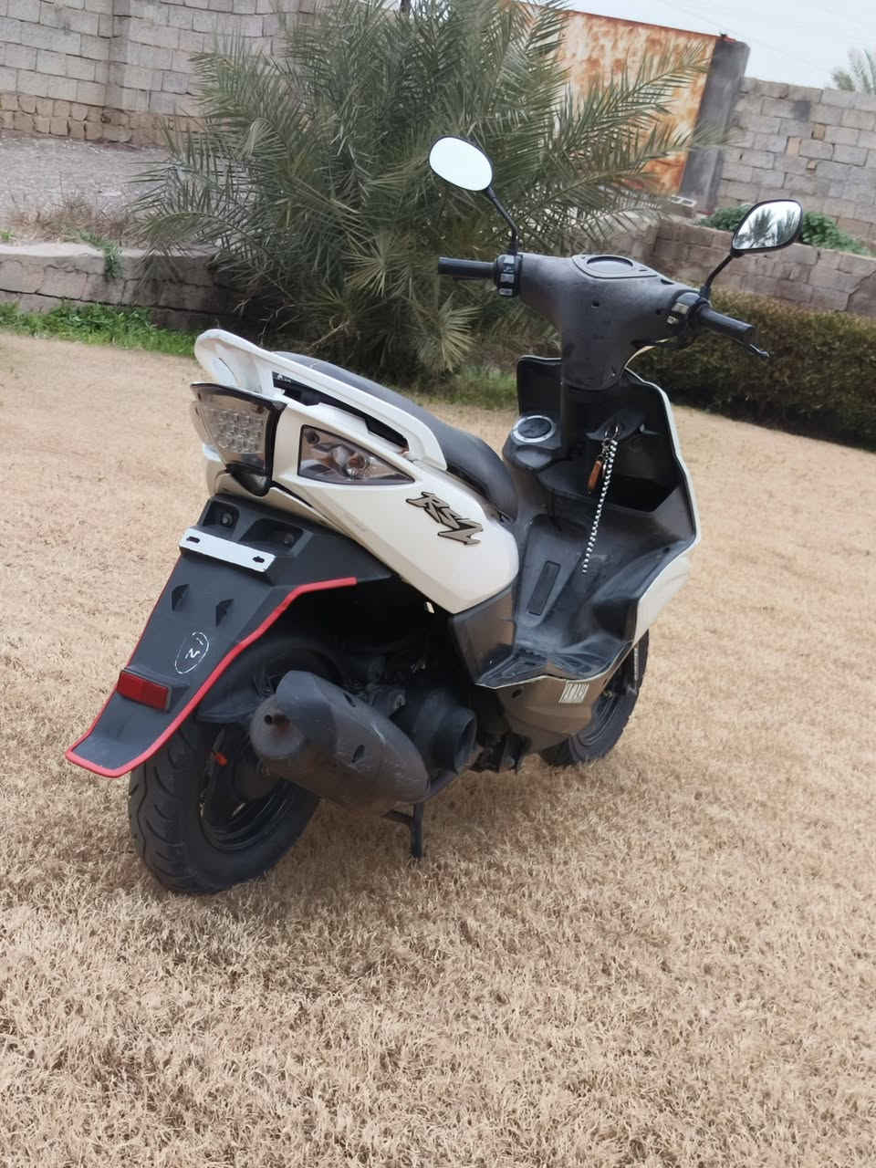 سلام عليكم دراجة ماكس مضلع دراجة نوزل  ختم واحد ويا المكينه كهربيات كلاهة شغل جيب فيتر وياك وافحص مكاني الراشدية محطة الضيافة سعر خاص ***********
