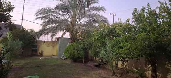 دار ركن للبيع تصميم وبناء حديث ودرجة أولى طابو ملك صرف  تحويل مباشر مساحه 450م كامل الخدمات الواجهة 24م والنزال 21م استقبال كبيرة وغرفتين نوم  وصاله ومطبخ وصحيات داخليه وخارجية وبيتونه وكراج كبير وحديقة كبيرة ناحية السلام حي الجهاد قرب روضه الصبا الحكومية   السعر 175مليون وبي مجال للشراي للاستفسار خاص او مع صاحب الدار مباشر***********
