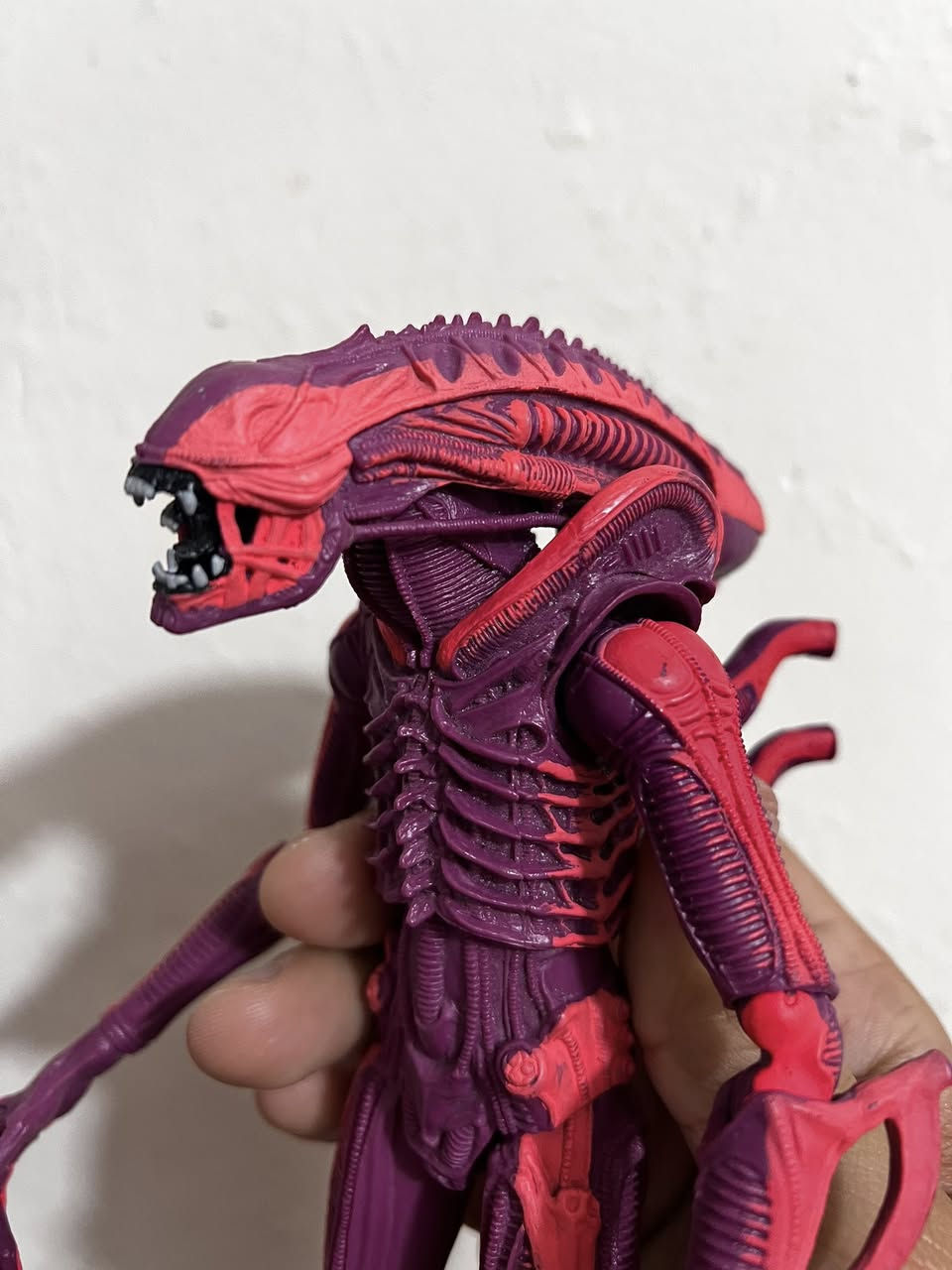 متوفر!!!
مجسم من سلسلة افلام Aliens 

باله اصلي مختم 

السعر ١٠ الاف فقط !!!

متوفر توصيل لكافة المحافظات


**إذا كنت صاحب هذا الإعلان وتريد حذفه لأي سبب، رجاءا أرسل رسالة إلى الدعم الفني**