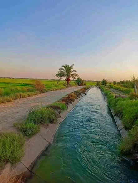 السلام عليكم
ارض مساحة 20 دونم من اصل سند 50 دونم طابو زراعي بالعيساويه الشيخ عامر خلف السور وجه عل نهر الصب سعر الدونم 8 مليون مع المجال فتح بيان مباشر ***********
