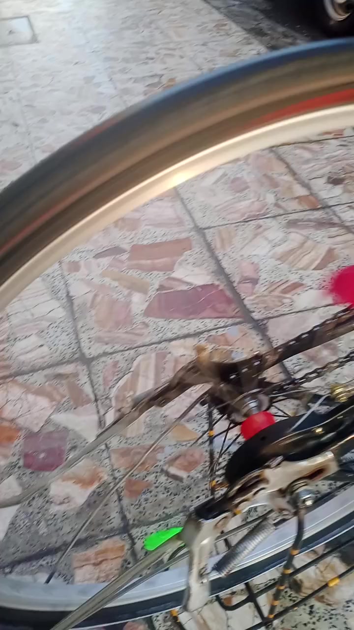 السلام عليكم بايسكل حجم 27 حاويه سعر 85 وبي مجال واللي يحب يتصل على الماسنجر العنوان بغداد الدوره مدخل حي الاثريين


**إذا كنت صاحب هذا الإعلان وتريد حذفه لأي سبب، رجاءا أرسل رسالة إلى الدعم الفني**