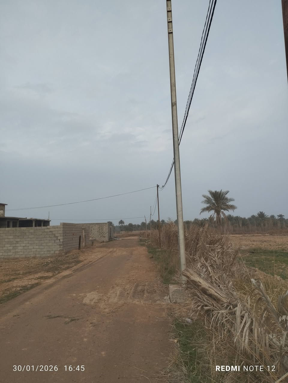 سلام عليكم
قطعة ارض للبيع المكان شاقراق فرع الجامع المساحه 220 متر
طابو زراعي كهرباء واصله للاتصال ***********
ومن الله التوفيق
