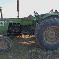 كاروبه • ديوانية • قاسية