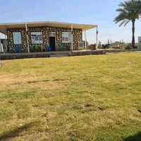 الاوسمة ولانواط • ٥٠٠م • طابو ملك