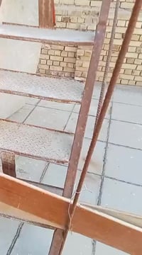 دراج حديد • ٦م • الشموخ