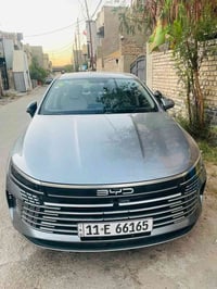 لون فيلي • مكفولة • ٤٠٠٠ كم